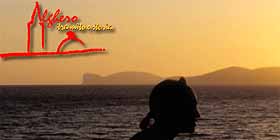 Al mercato civico in mostra