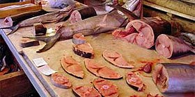 Pesce scaduto in tutta lIsola
