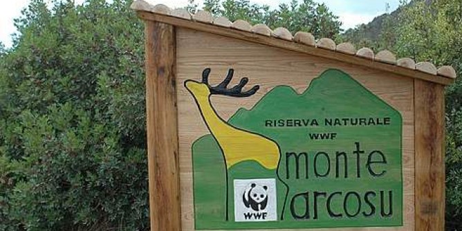 Wwf sulla vetta di Monte Arcosu