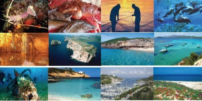 Consumo pesce locale: Gac, Comune e Asinara insieme