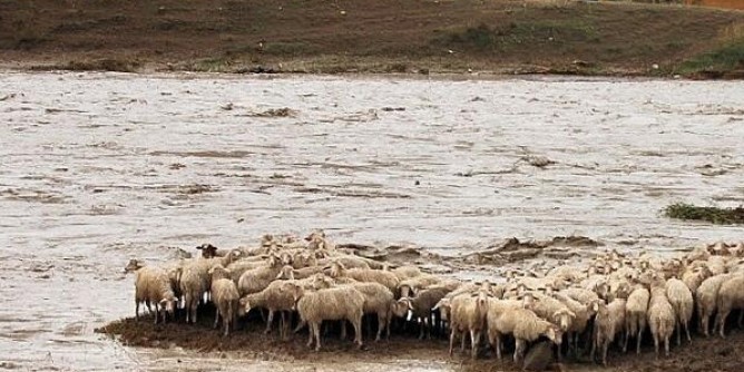 Alluvione, danni per 660 milioni. «La Regione non ha tutti i soldi»