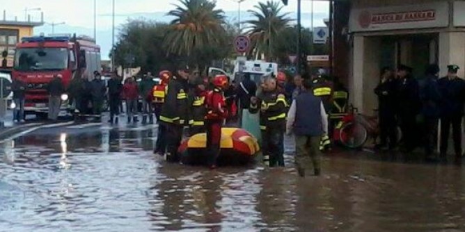 Cani smarriti a Olbia: i numeri utili