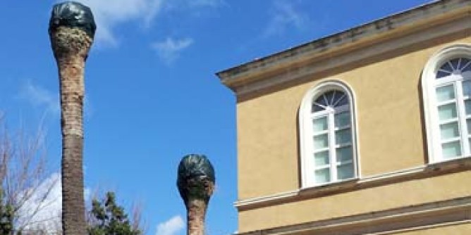Punteruolo <i>abbatte</i> le palme storiche | Foto