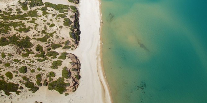 Cadavere senza testa sulla spiaggia di Scivu