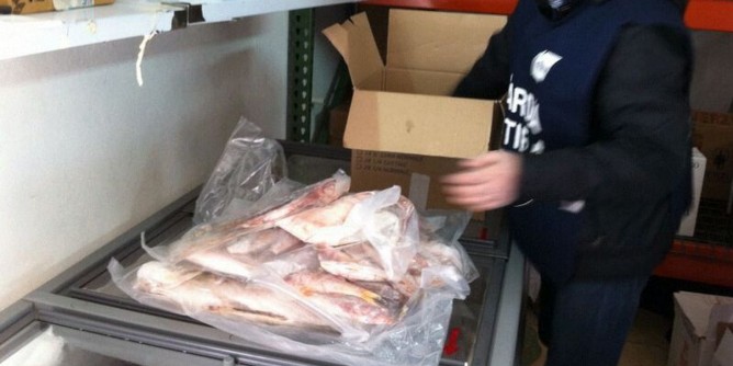 Porto Torres: sequestrati 15 chili di pescato nel porto industriale