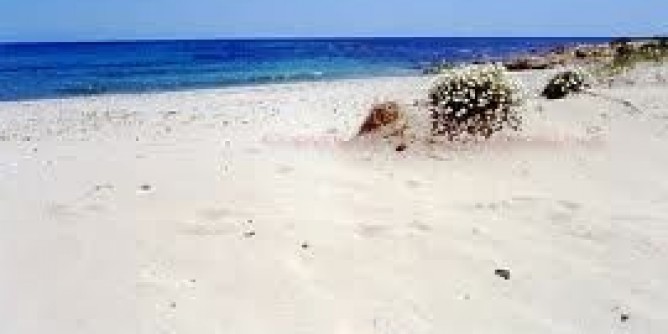 Guida Blu 2015: 5 vele per la Sardegna