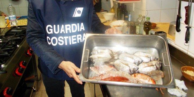 Sequestrati 700 kg di pesce