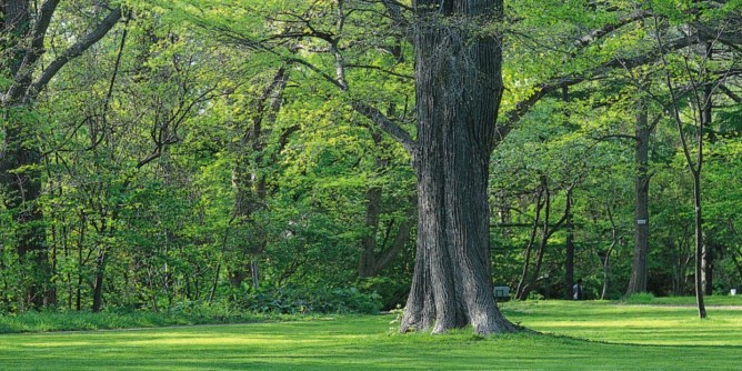 Sassari: parco in via Berlinguer