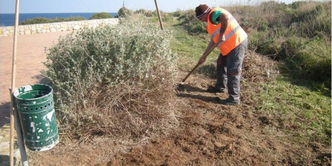 Forestazione, 950mila euro a Porto Torres