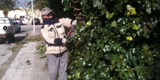 Verde: proposta gestione pluriennale alla Multiservizi
