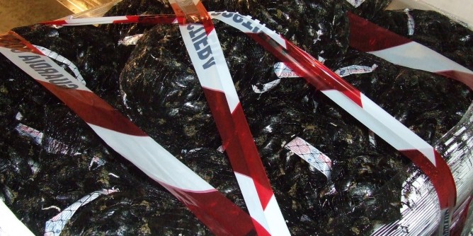 Capitaneria sequestra 40 kg di cozze ad Olbia