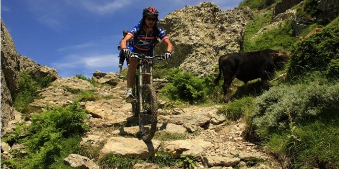 La scuola si <i>muove</i> in bici per lAsinara
