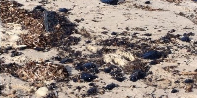 «E.On deve rispondere del disastro ambientale»