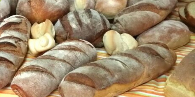 Focus celiachia all'Universit di Sassari