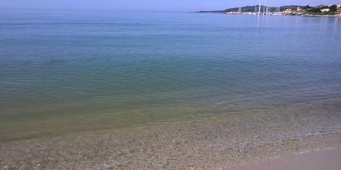 Marea gialla: Adiconsum <i>chiama</i> il sindaco Bruno