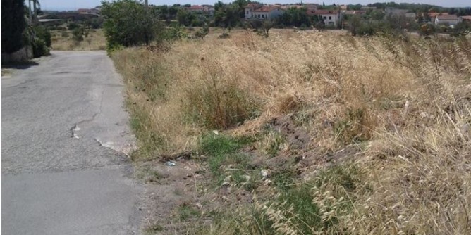 Ordinanza sui terreni incolti a Porto Torres