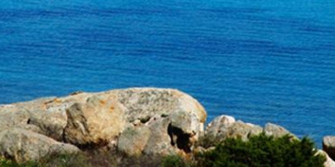 40 spiagge sarde <i>salvate</i> dalle cicche