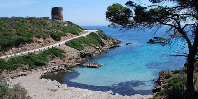 Parco Asinara: arrivano i benefici della <i>Zea</i>
