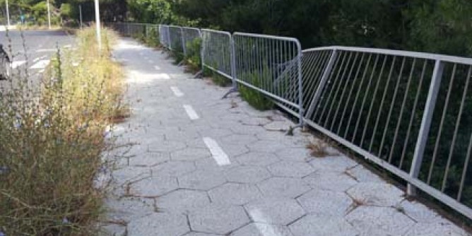 Viale Burruni: doppio allarme dal Wwf