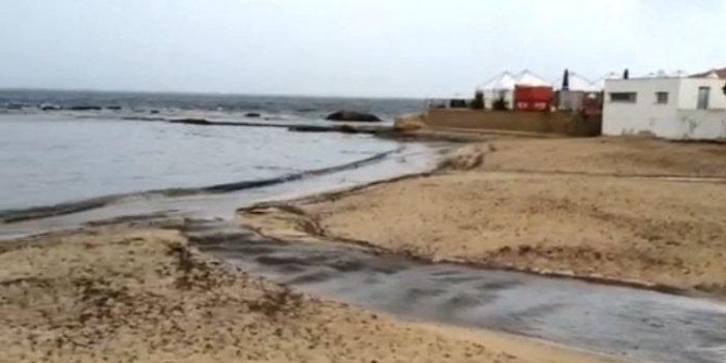 Scoglio Lungo: la Forestale acquisisce documenti