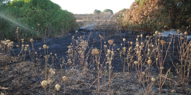 Incendio devasta centro isola. Disastro ambientale: conta danni