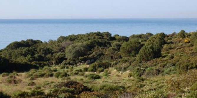 A Golfo Aranci si decide su aree pesca sportiva