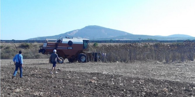 Bioprodotti agricoli: Accordo Matrca-Coldiretti