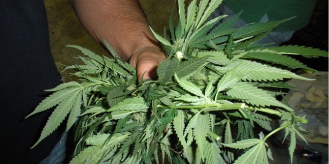 162 kg di droga sequestrata. Arrestati due corrieri a Cagliari