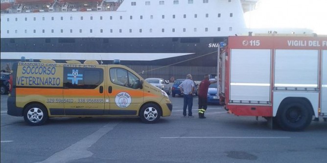 Porto Torres, cane aggredisce il padrone