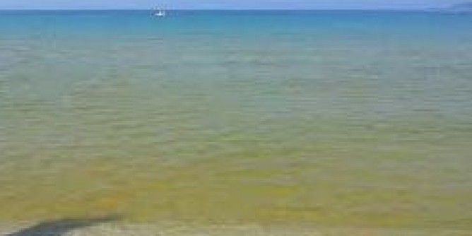 La marea gialla non  scomparsa. Ora un incontro con il sindaco
