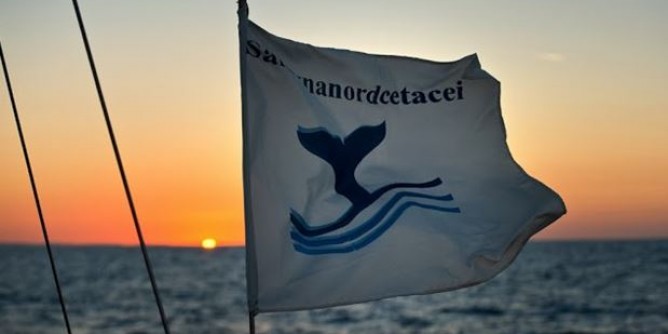 Sardegna Nord Cetacei riprende la via del mare