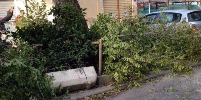 Maestrale su Alghero: pericolo alberi e lampioni