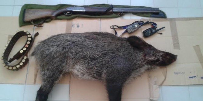 Selvaggina, munizioni e trappole: denunciati tre bracconieri