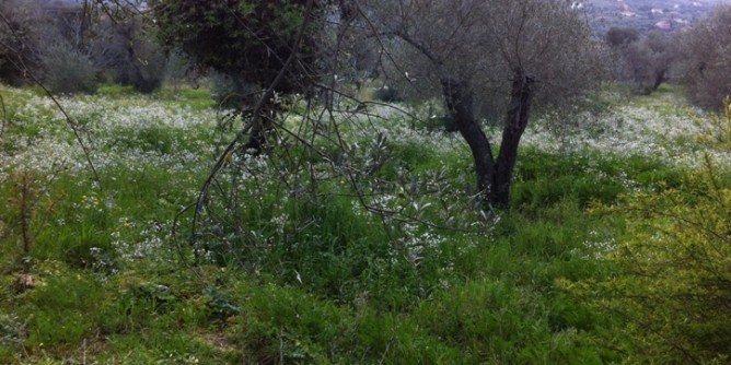Il 9 febbraio niente acqua nell´agro