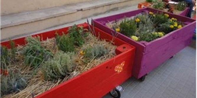 Porto Torres: Orti e frutteti anche a scuola