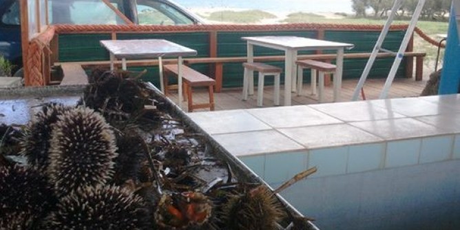 Cagliari, venditori di ricci disperati. «Cosi non possiamo lavorare»