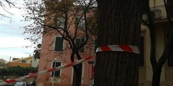 Alberi pericolanti: giardini chiusi a Sassari
