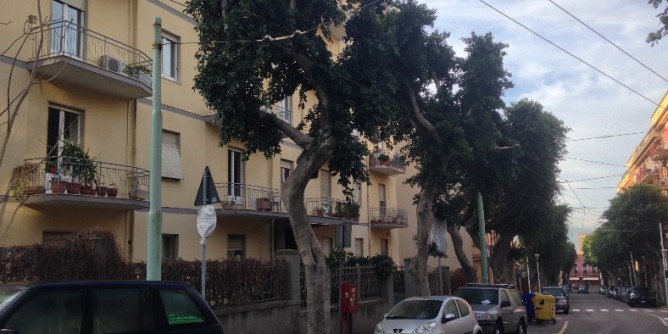 Crolla un pezzo di strada in viale Merello