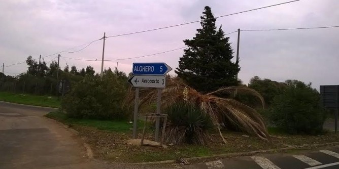 <i>Welcome</i> dalle palme morte in Aeroporto | Foto