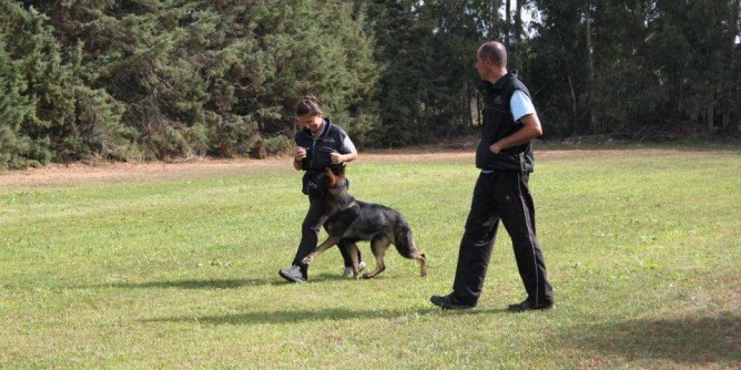 Alghero: due giorni dedicati ai cani
