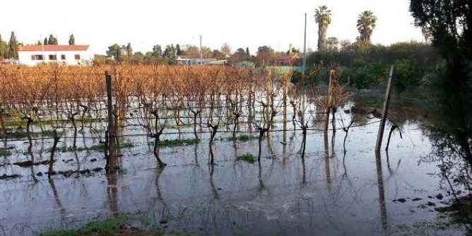 Si rompe condotta, terreni allagati ad Alghero