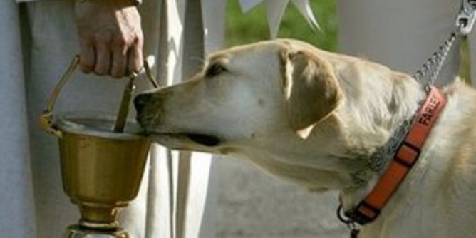 Benedizione animali: appuntamento a Cagliari