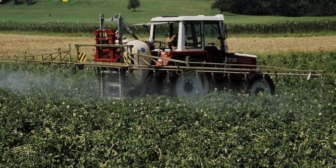 Coldiretti: prezzo grano a picco, verso sciopero