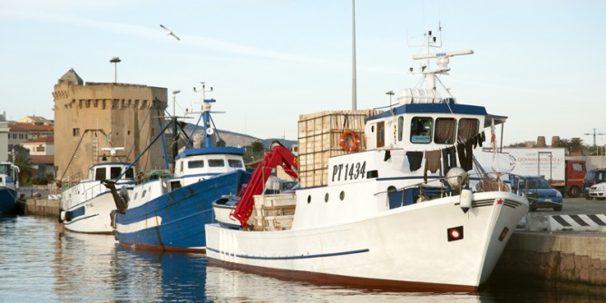 Golfo Asinara: documentario sulla pesca alla sardina