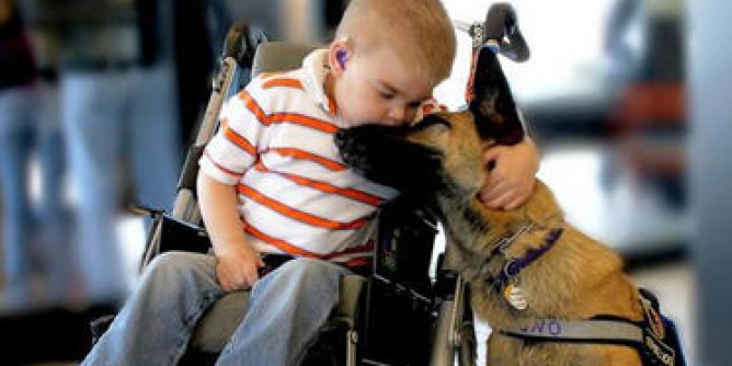 Pet Therapy week end a Elmas