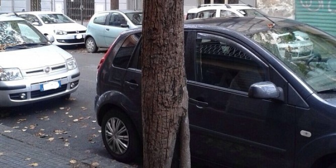 Potature ai giardini di via Manno a Sassari