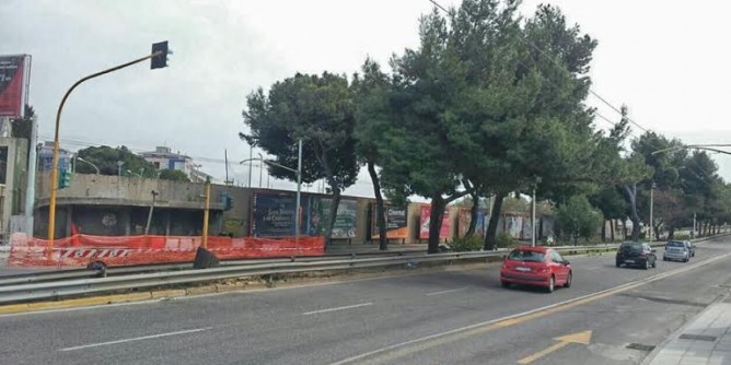 Taglio pini Amsicora, Frau: salviamo vite umane
