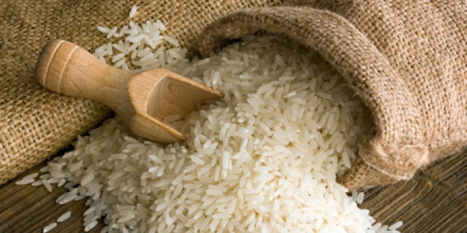 Riso: cresce la produzione in Sardegna