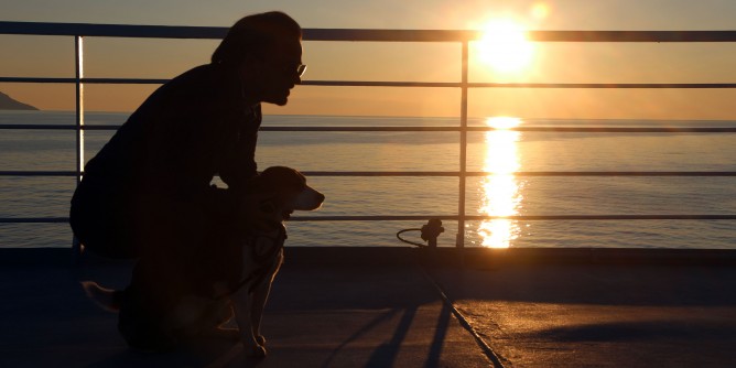 Tirrenia raddoppia le cabine dedicate agli animali
