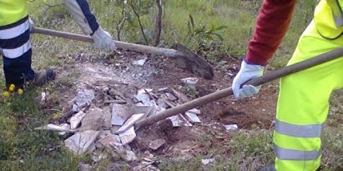 Operai al lavoro: ripulita la pineta di Porto Ferro